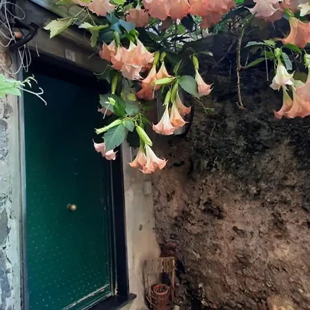Giuggiolhouse Apartment Genoa