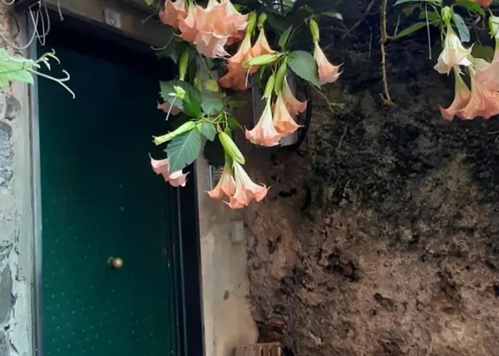 Giuggiolhouse 아파트 제노바